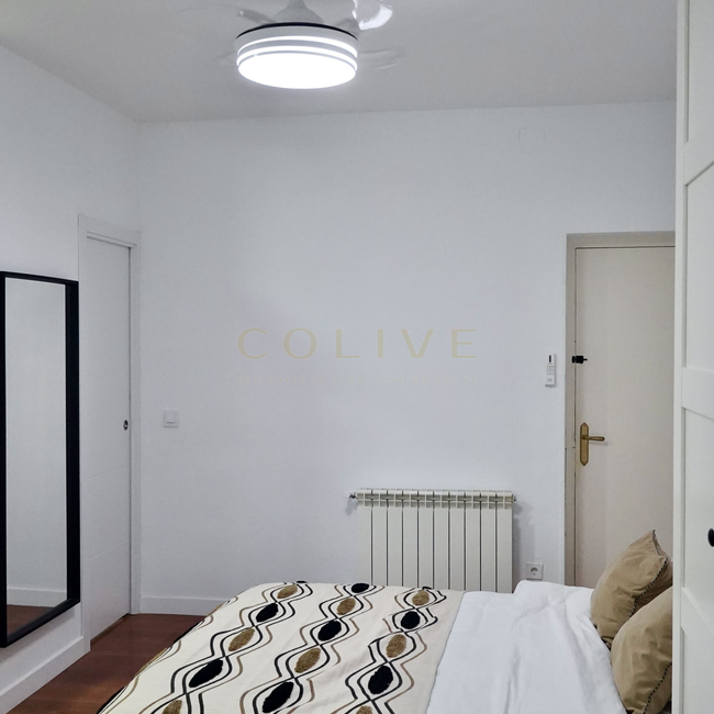 G83R1-Salamanca-Goya 83-8233