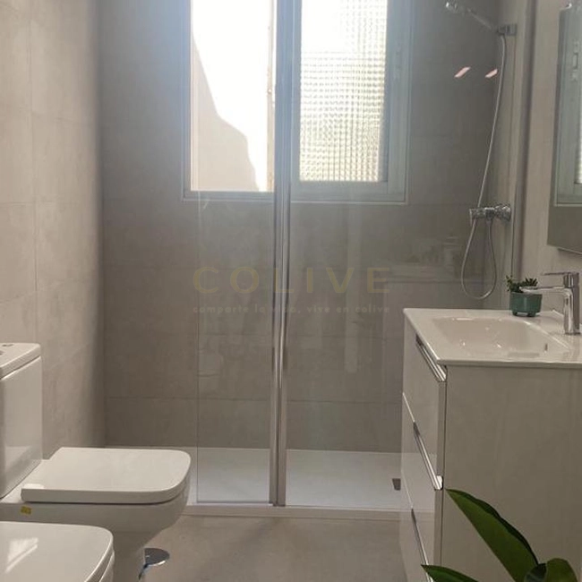 Salamanca-Goya 114-1519