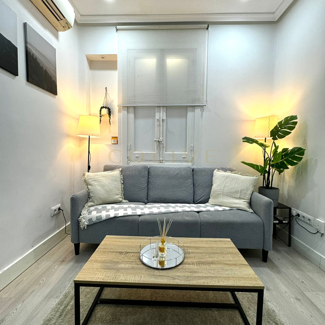 S81R1-Salamanca-Serrano-7784