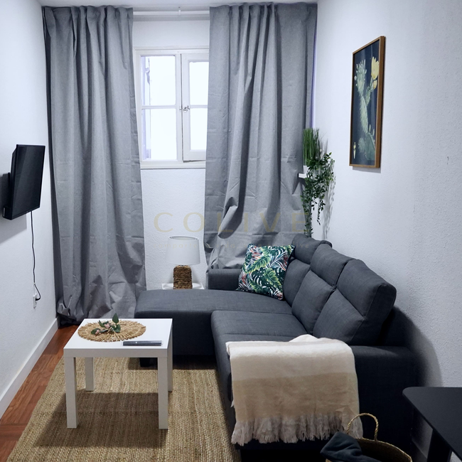 G83R4-Salamanca-Goya 83-8373