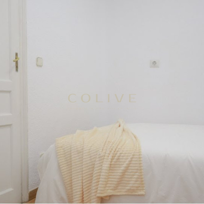 G41-5R4-Salamanca-Goya 41-6449