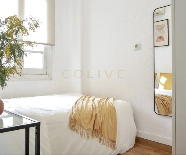 G41-5R5-Salamanca-Goya 41-10971