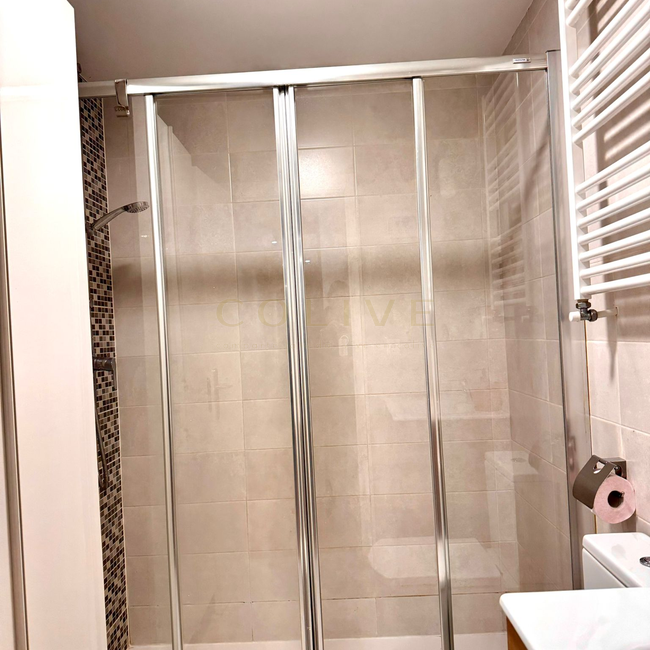 IF20R2-Centro-Calle de las Infantas-8553