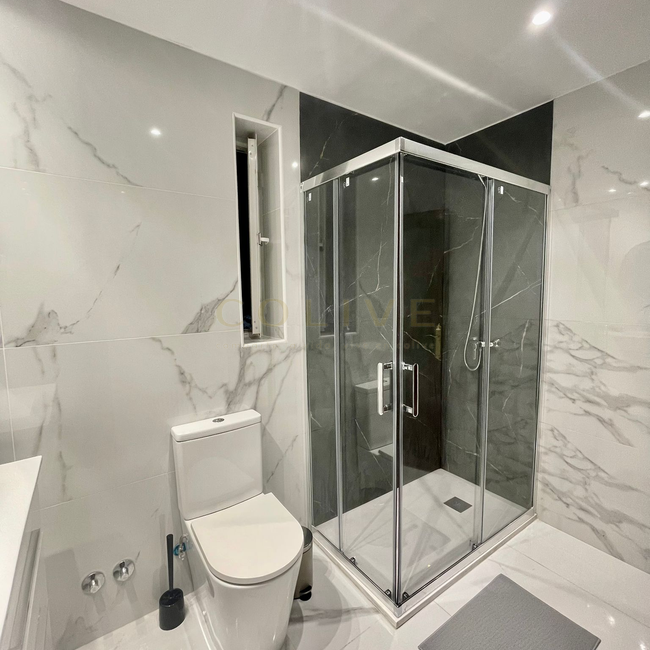 SRNR4-Chamartín-San Ramon Nonato-7301