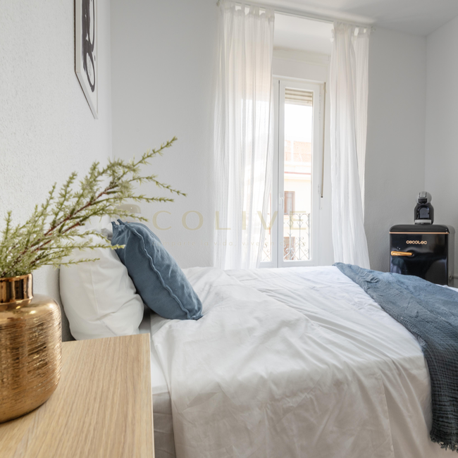 RLL4-1R5-Centro-Redondilla 4 1c-10590