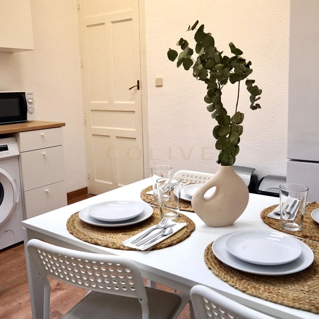 G41-5R4-Salamanca-Goya 41-11061