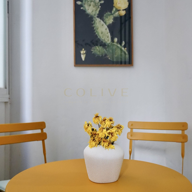 G83R1-Salamanca-Goya 83-8242