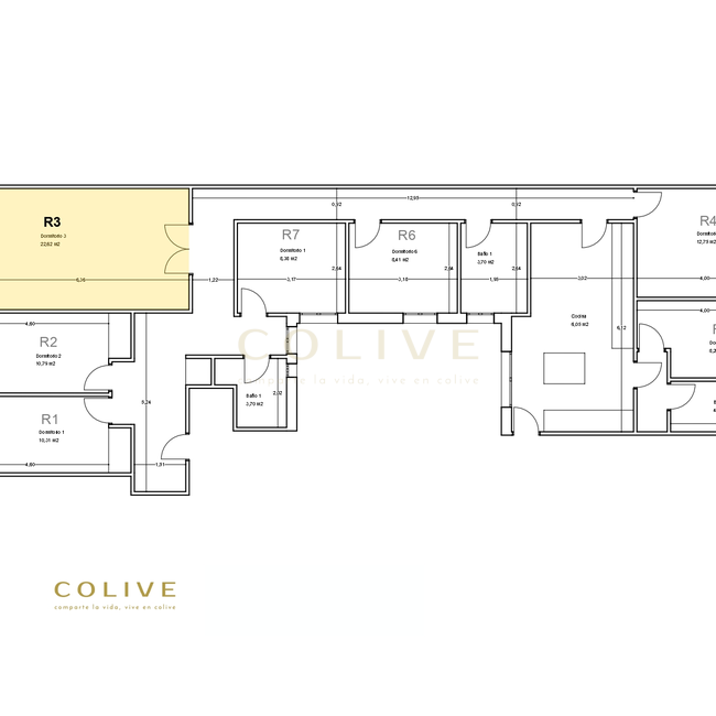 G85R3-Salamanca-Goya 85-9862