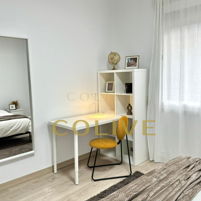 S81.1R3-Salamanca-Calle Serrano-9267