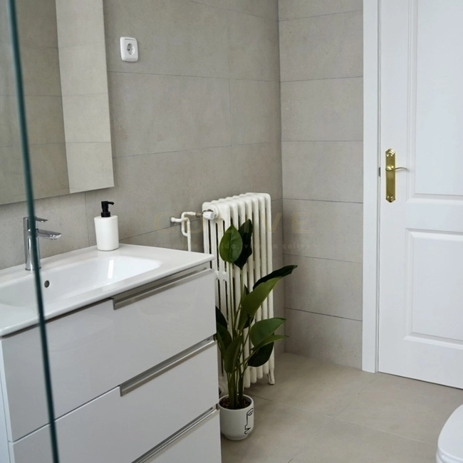 G114R1-Salamanca-Goya 114-11089