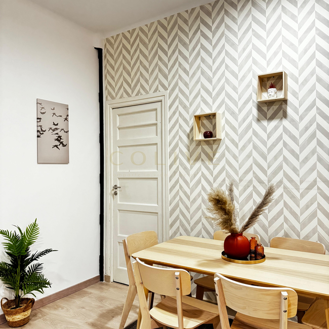 S81.1R5-Salamanca-Calle Serrano-8962