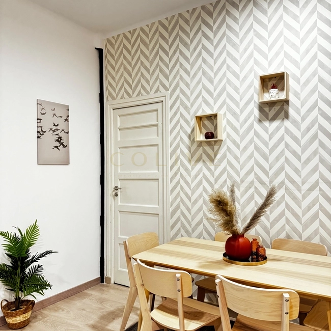 S81.1R5-Salamanca-Calle Serrano-8962