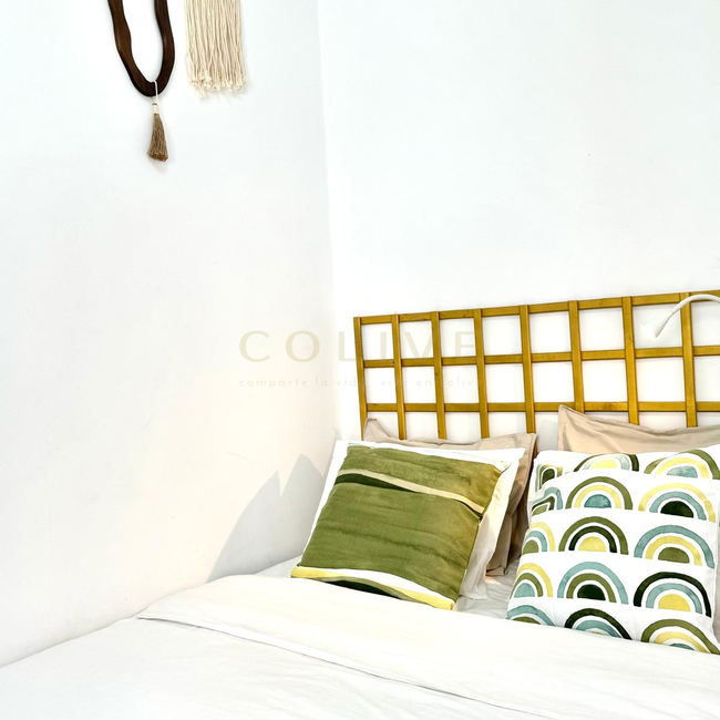 DP6R3-Centro-Divino Pastor-9289