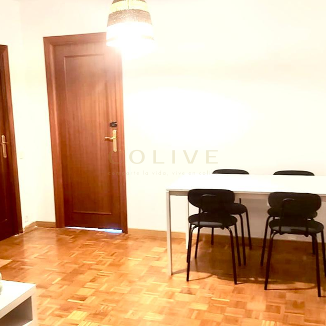 SRNR4-Chamartín-San Ramon Nonato-7305